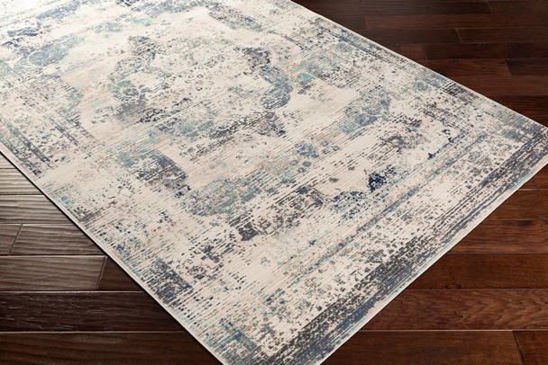 Surya Dublin DUB-2304 Traditional Machine Woven Area Rugs