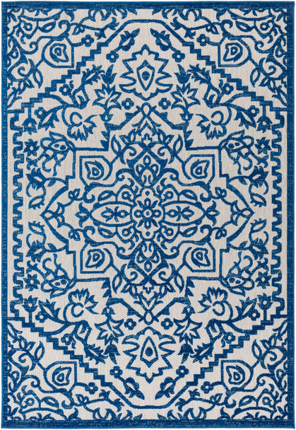 Surya Big Sur BSR-2301 Traditional Machine Woven Area Rugs