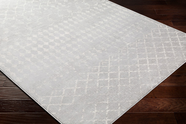 Surya Roma ROM-2344 Modern Machine Woven Area Rugs