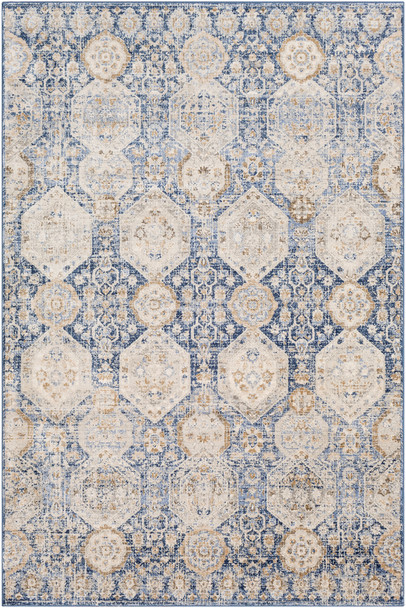 Surya Indigo IGO-2309 Traditional Machine Woven Area Rugs