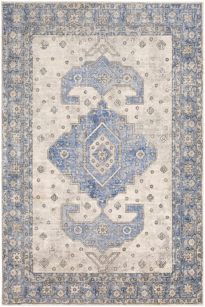Surya Indigo IGO-2325 Traditional Machine Woven Area Rugs