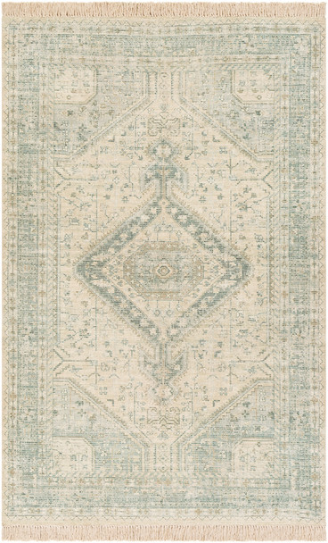 Surya Zainab ZAI-2303 Traditional Hand Woven Area Rugs