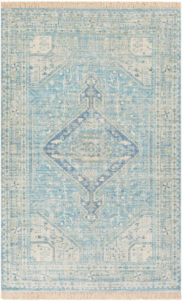 Surya Zainab ZAI-2304 Traditional Hand Woven Area Rugs