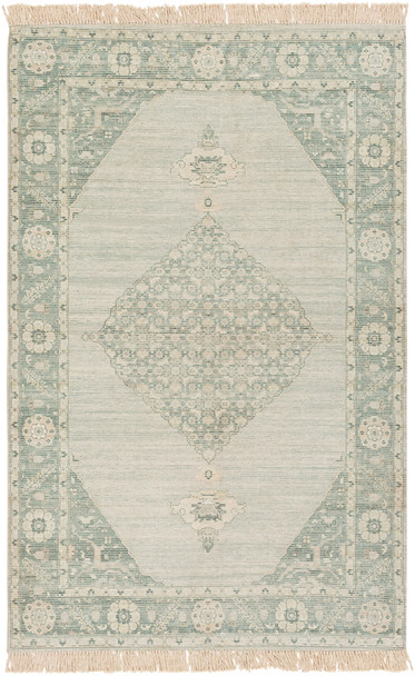 Surya Zainab ZAI-2306 Traditional Hand Woven Area Rugs