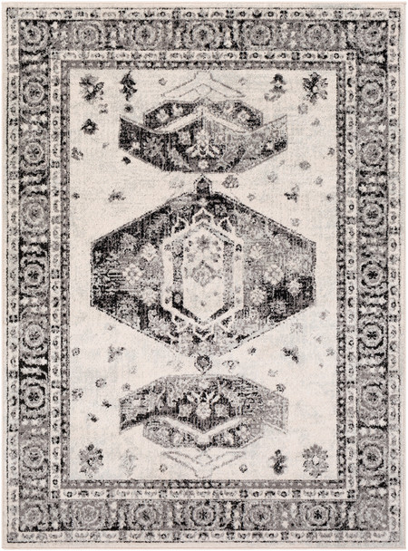 Surya Chester CHE-2324 Traditional Machine Woven Area Rugs