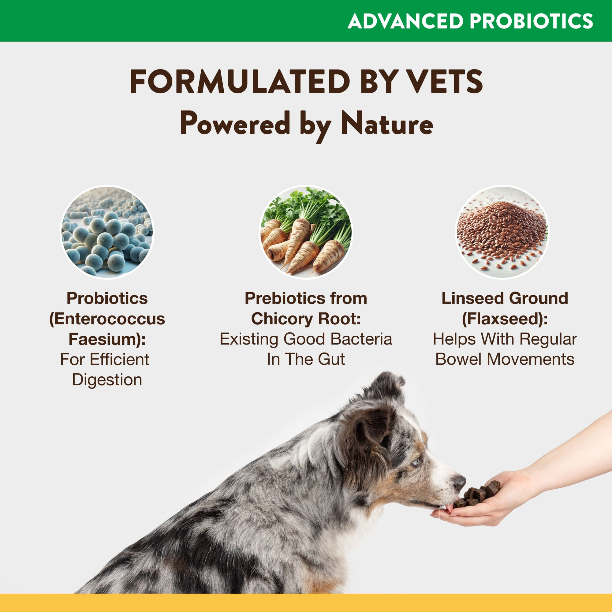 Bacteria Prebiotics Foods For Dogs Tomlyn Pre Probiotic