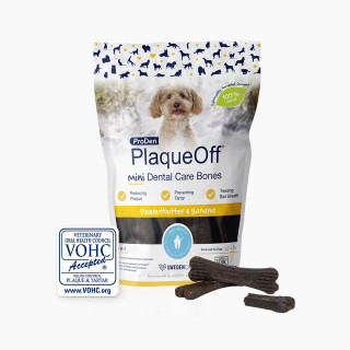 Mini Dental Care Bones - Peanut Butter & Banana Flavour