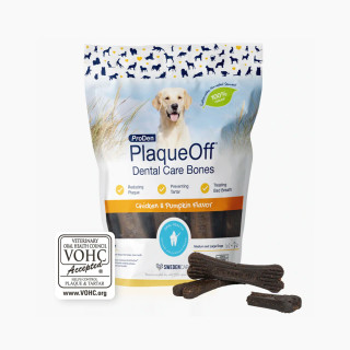 Dental Care Bones - Chicken & Pumpkin Flavour