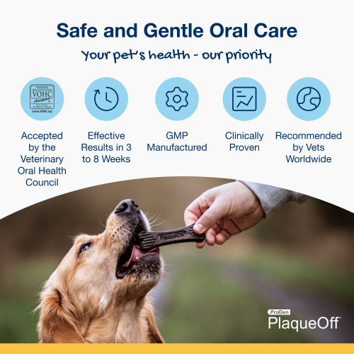 Mini Dental Care Bones – Vegetable Fusion Flavour