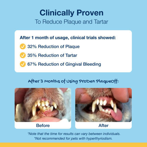 Mini Dental Care Bones Vegetable Fusion & Blueberry Flavour