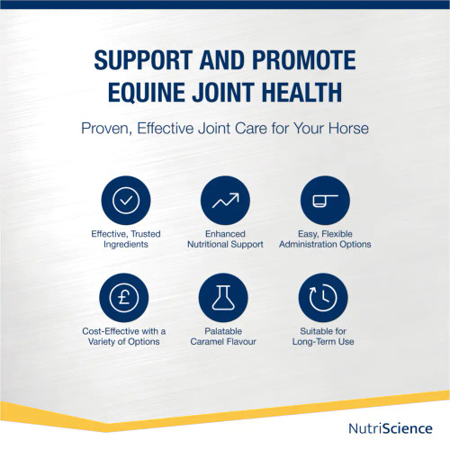 Arthri Aid Equine Liquid Arthri Aid Equine Liquid