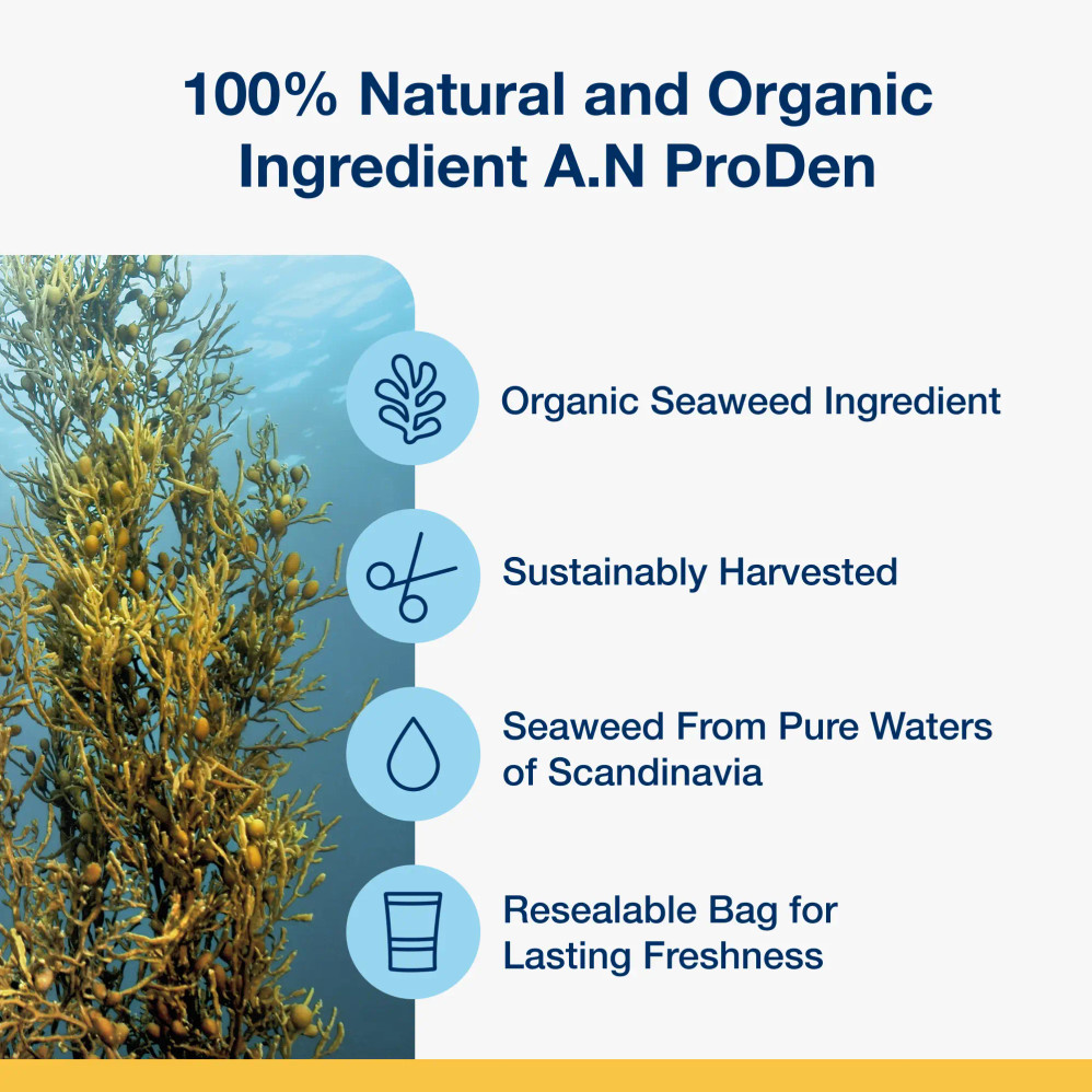 Mini Dental Care Bones – Vegetable Fusion Flavour