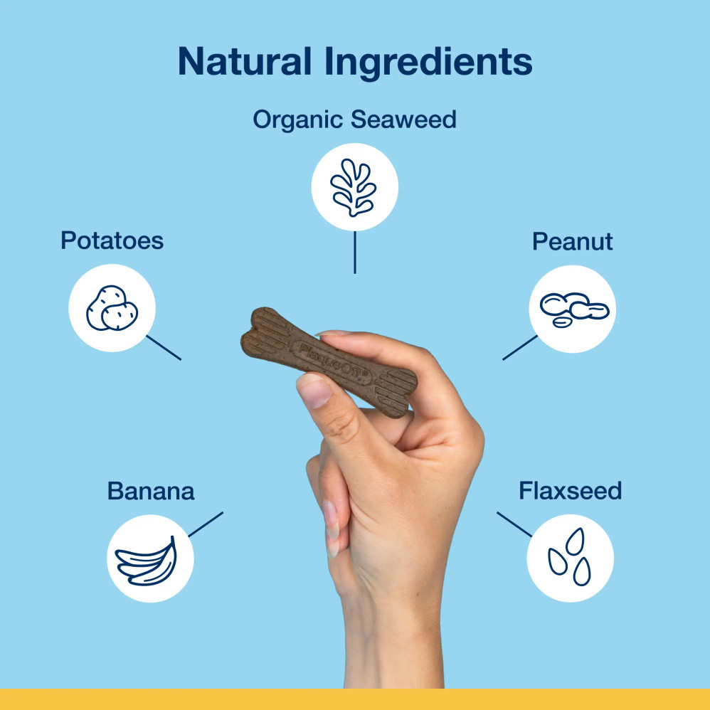 Mini Dental Care Bones - Peanut Butter & Banana Flavour