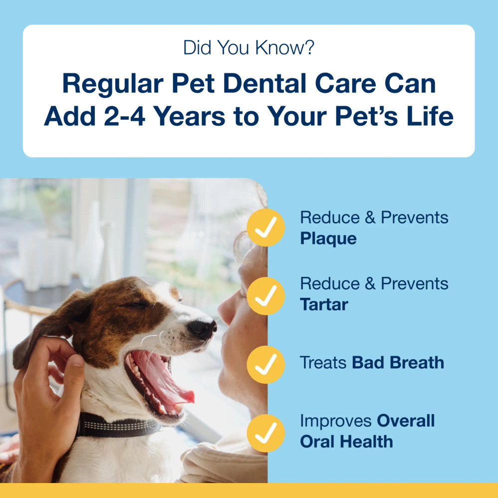 Dental Care Bones - Veggie Flavour
