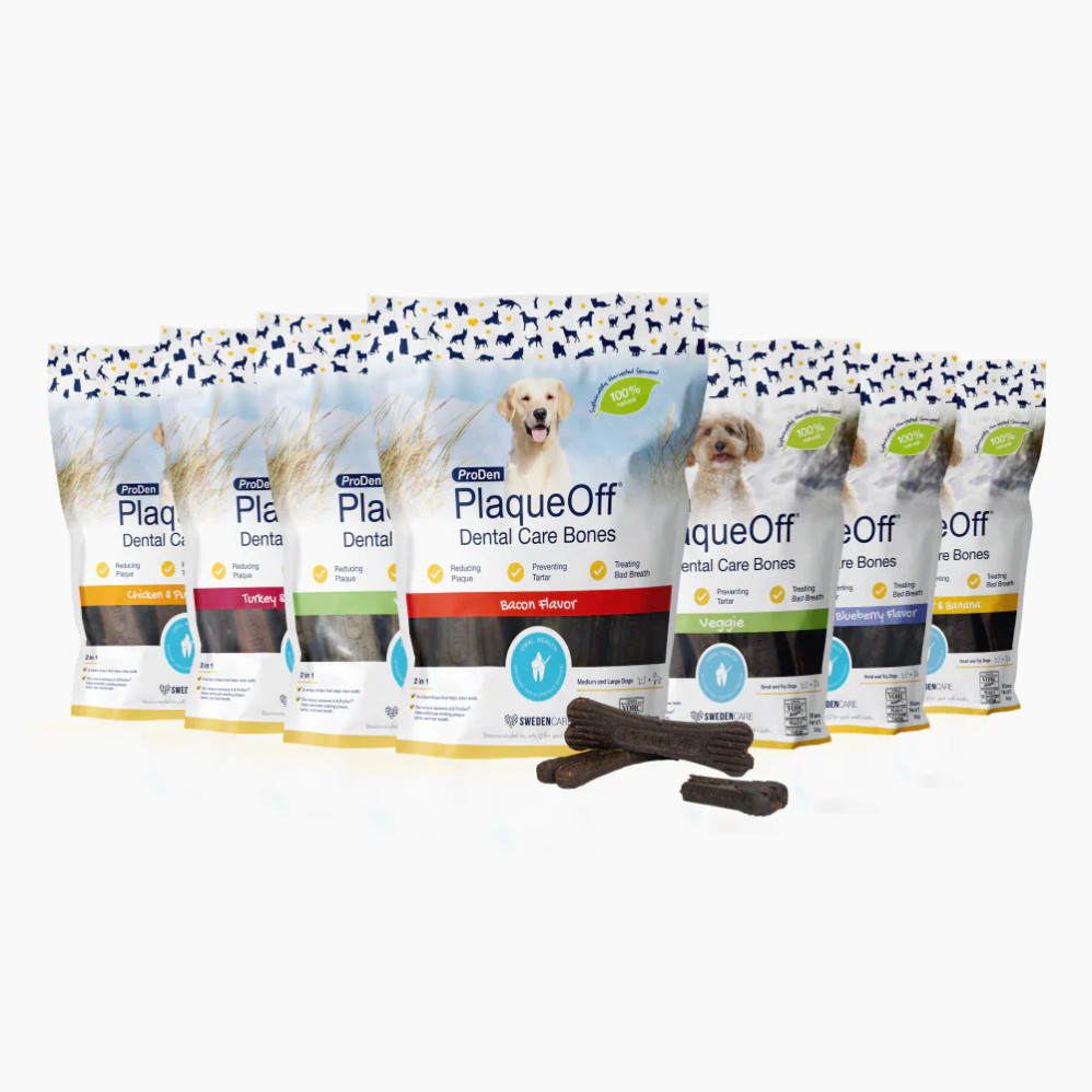 Dental Care Bones - Veggie Flavour Dental Care Bones - Veggie Flavour