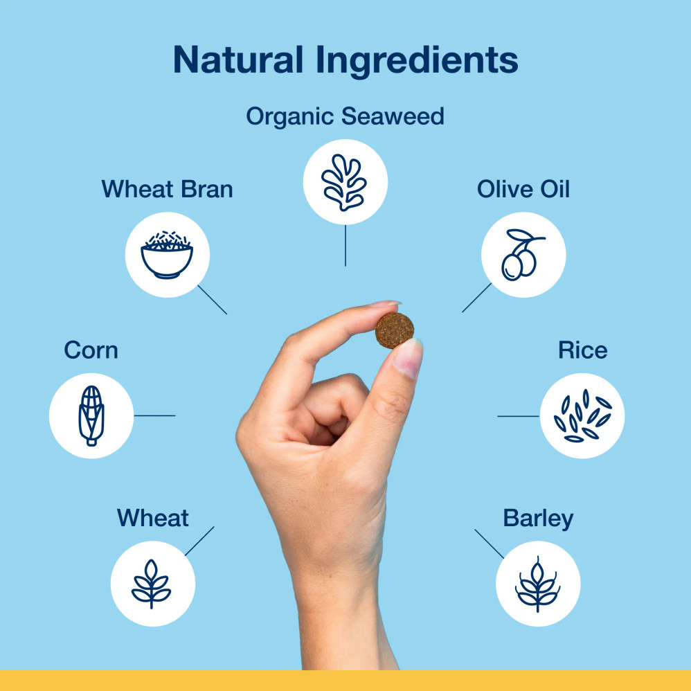 Dental Bites for Dogs - Veggie Flavour