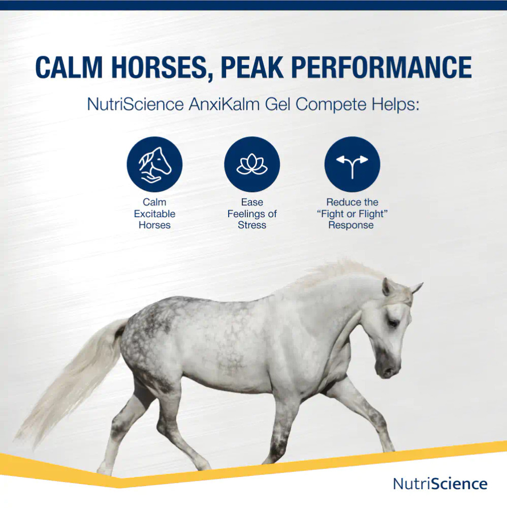 AnxiKalm Equine Gel