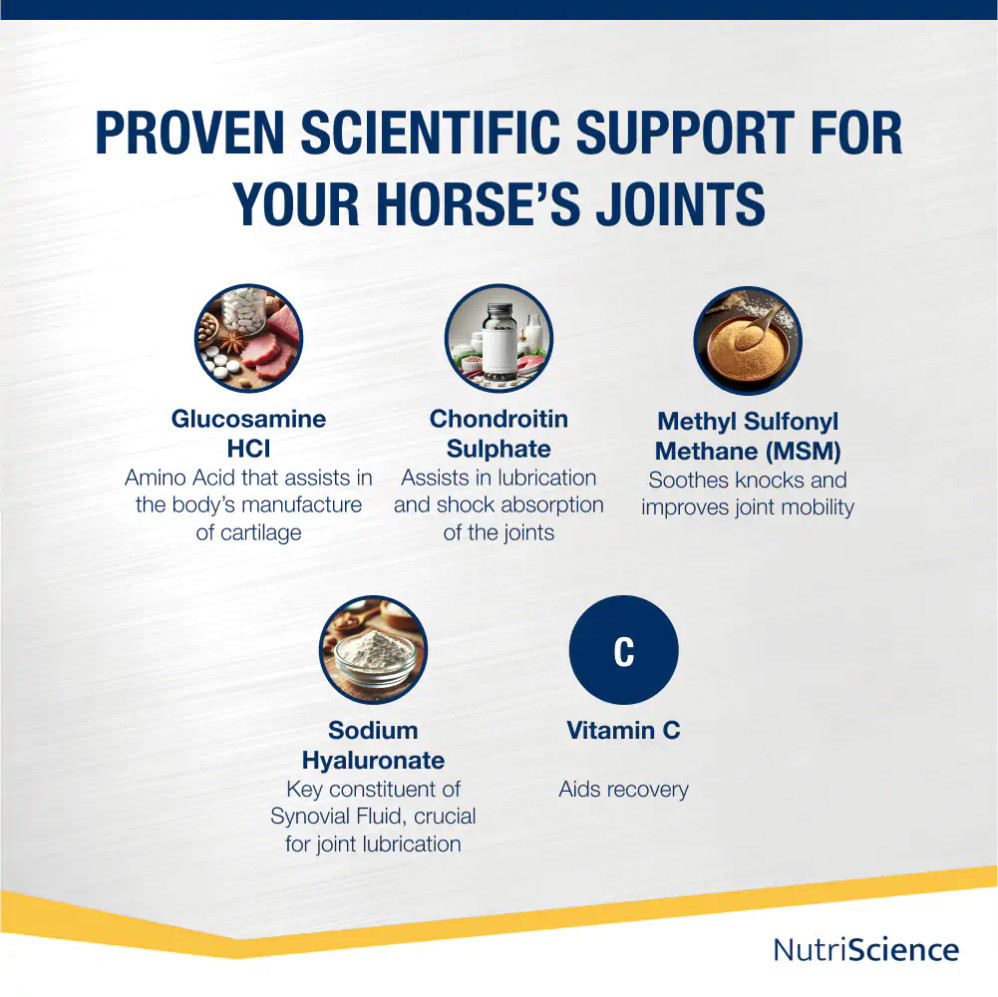 Arthri Aid Equine Powder Arthri Aid Equine Powder