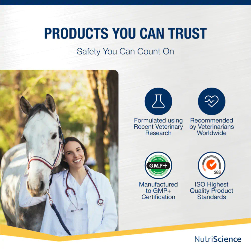 Arthri Aid Equine Liquid Arthri Aid Equine Liquid