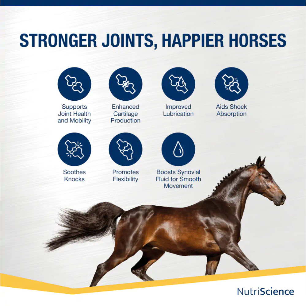 Arthri Aid Equine Liquid Arthri Aid Equine Liquid