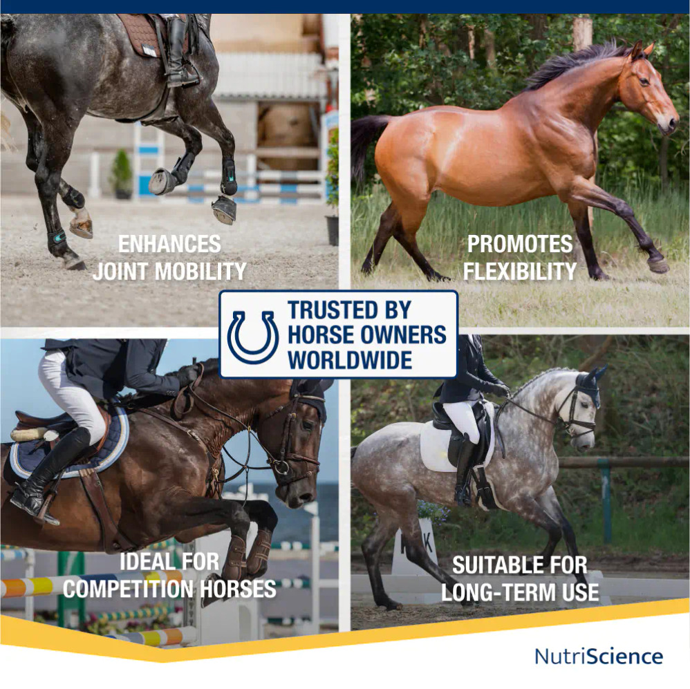 Arthri Aid Equine Liquid Arthri Aid Equine Liquid