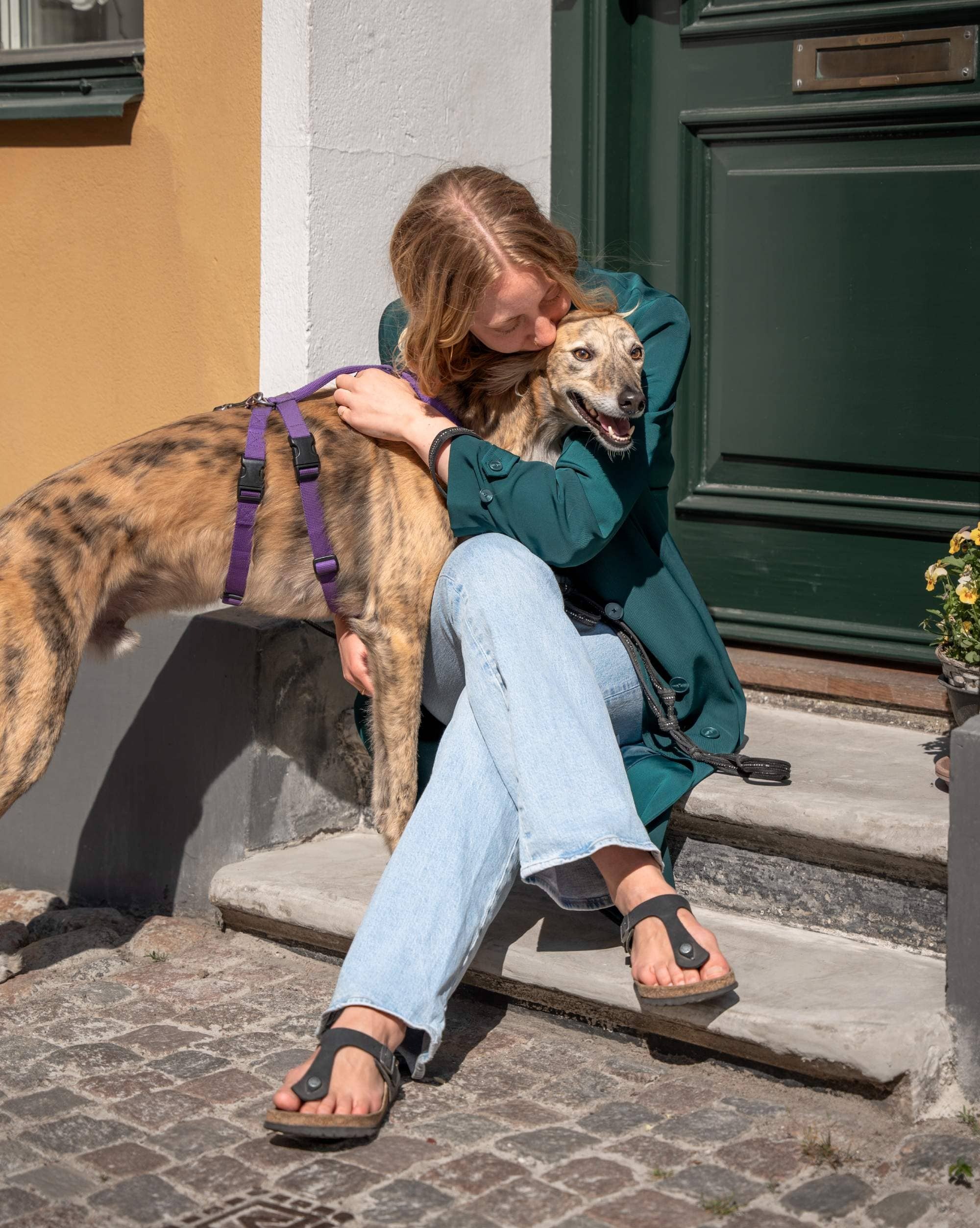 Woman sitting on a doorstep hugging a dog wearing a purple harness.