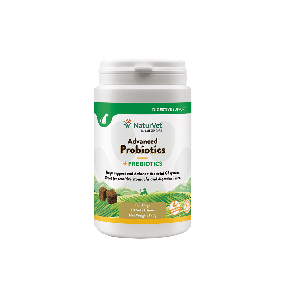 Advanced Probiotics & Prebiotics