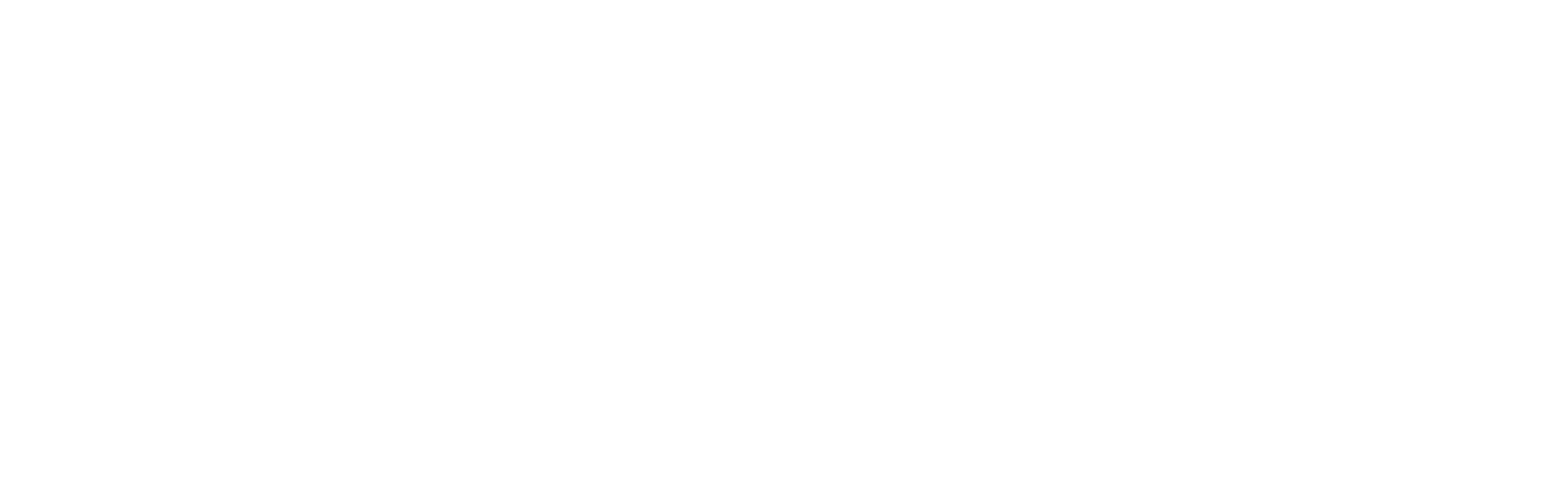 ProDen PlaqueOff Dental Human