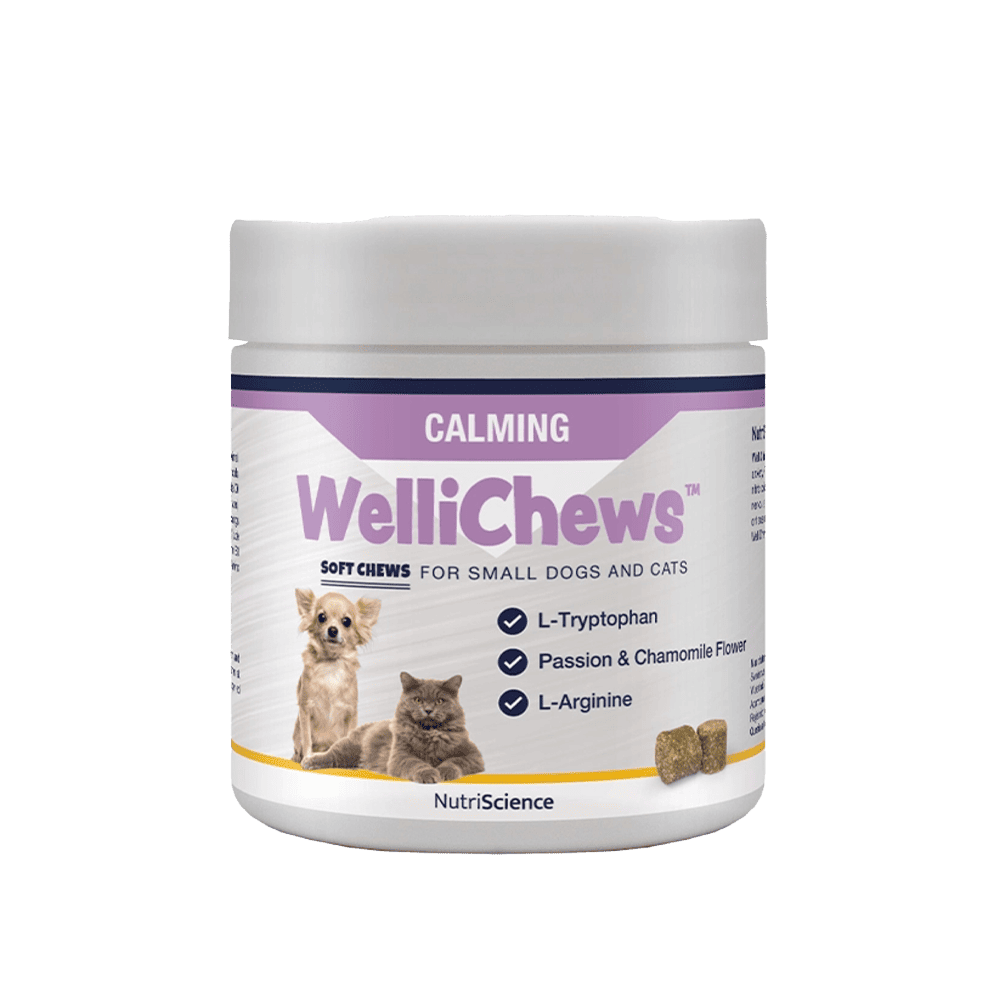 WelliChews™ Calming Soft Chews