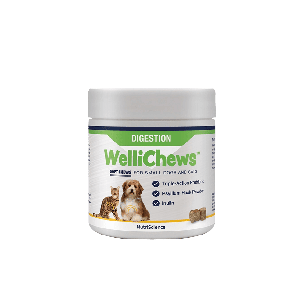 WelliChews™ Digestion Soft Chews