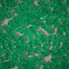 Star Pony Bead Light Green Transparent
