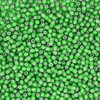 11/0 Czech Glass Seed Beads White Heart Green