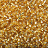 6/0 Czech Glass Seed Beads Gold Silver Lined