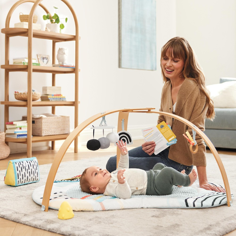 Skip Hop Discoverosity Deluxe Activity Gym Playtime Gifts Skip Hop