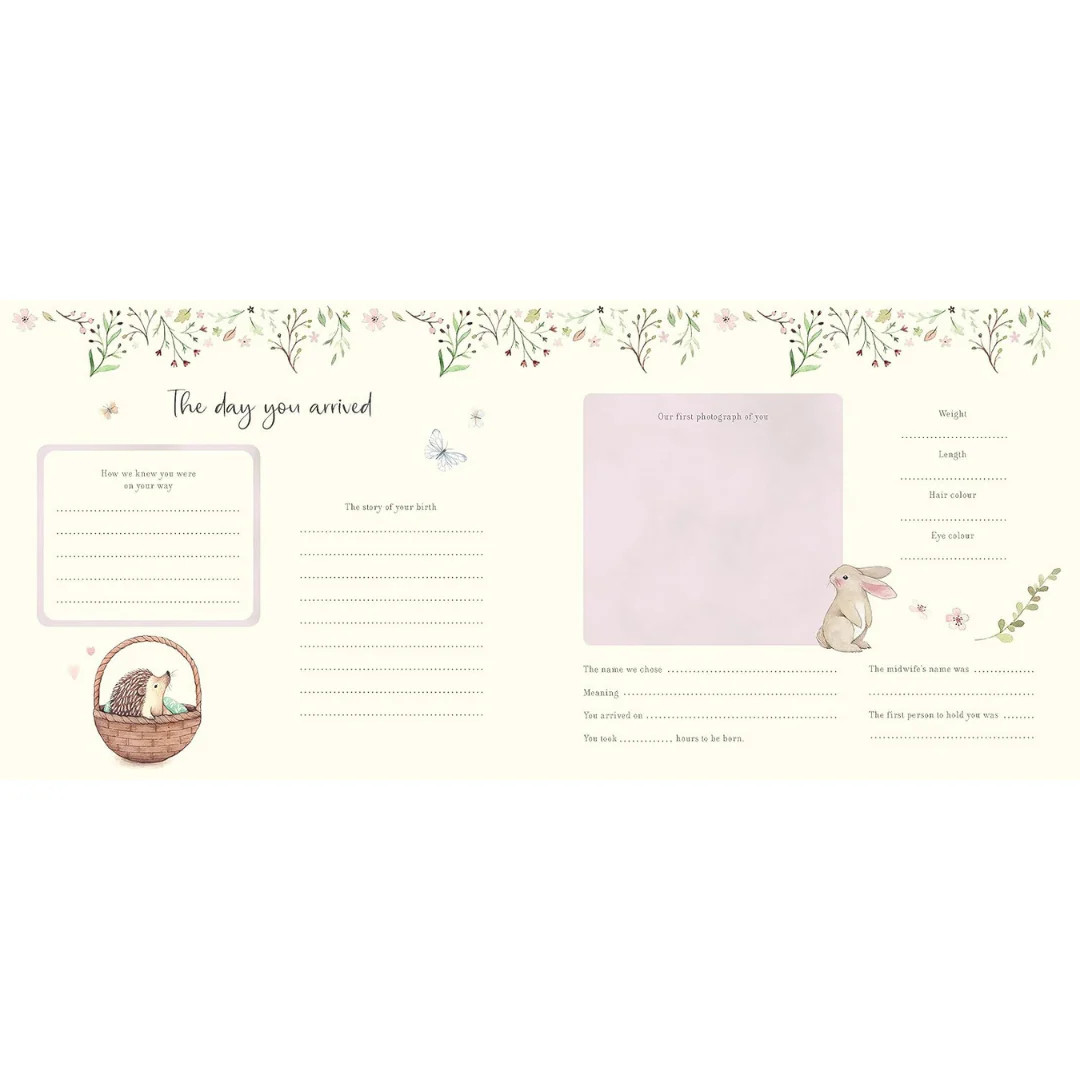 Baby's First Year Record Book Nina Stajner Journals