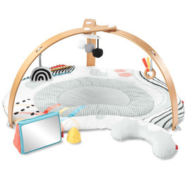 Skip Hop Discoverosity Deluxe Activity Gym