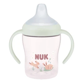 NUK Perfect Match Learner Bottle Night - With Spout