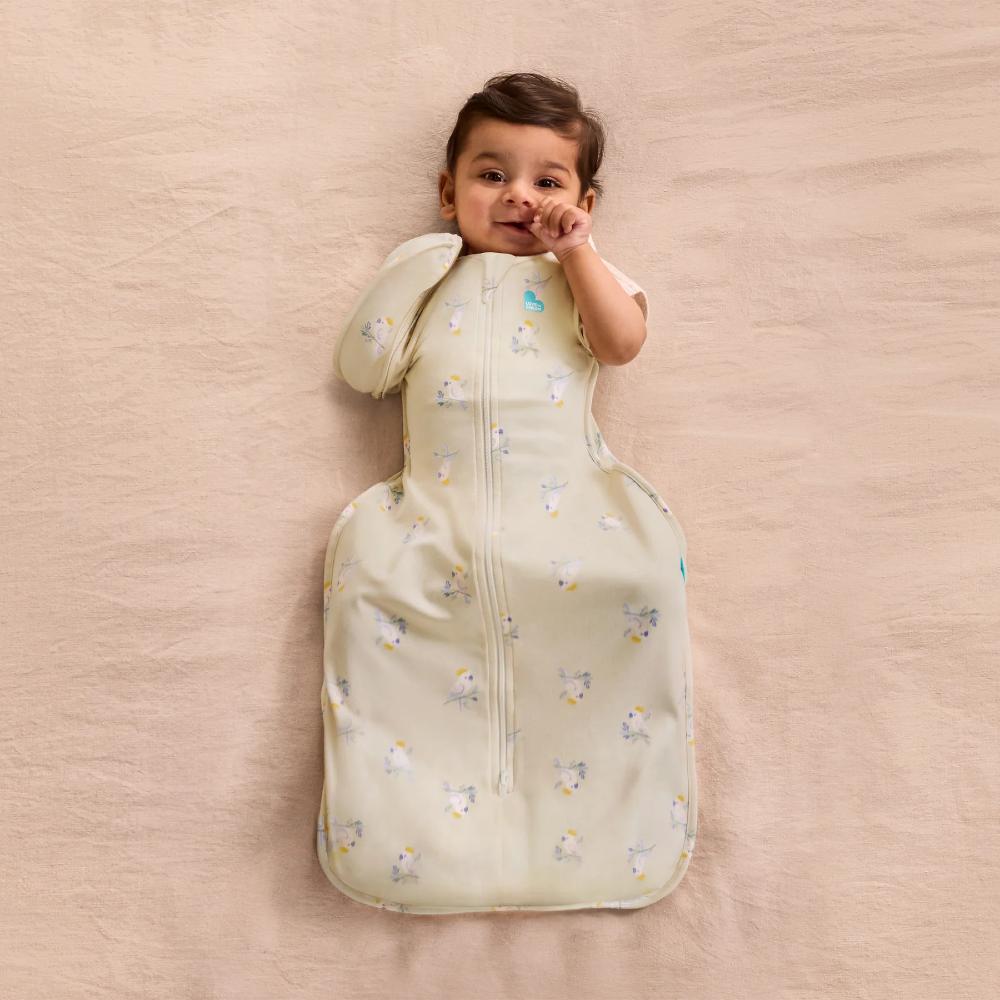 Love to Dream Swaddle Up 1.0 tog Transition Bag - Designer