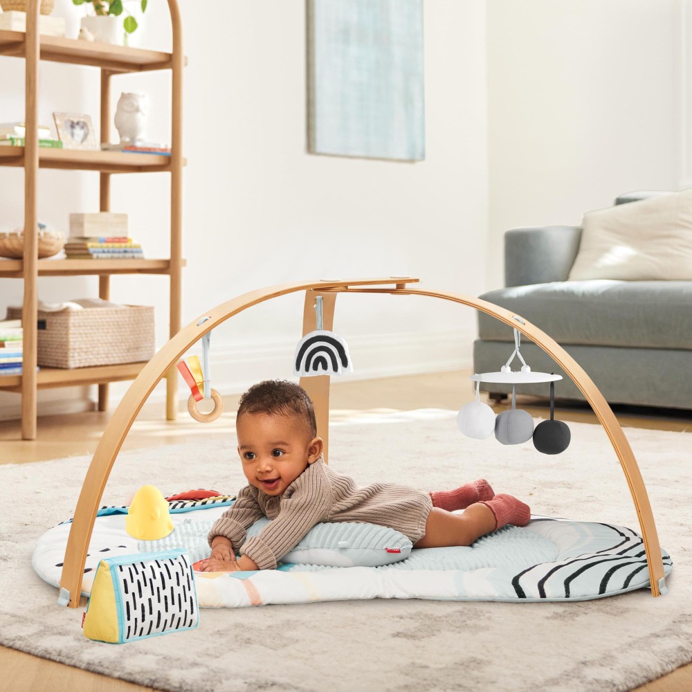 Skip Hop Discoverosity Deluxe Activity Gym