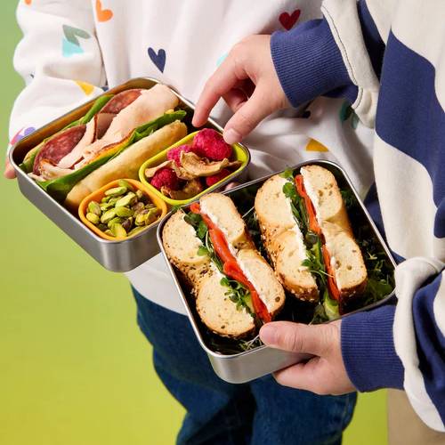 PlanetBox Trailblazer Sandwich Box