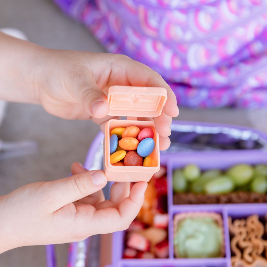 MontiiCo Bento Dip & Sauce Box