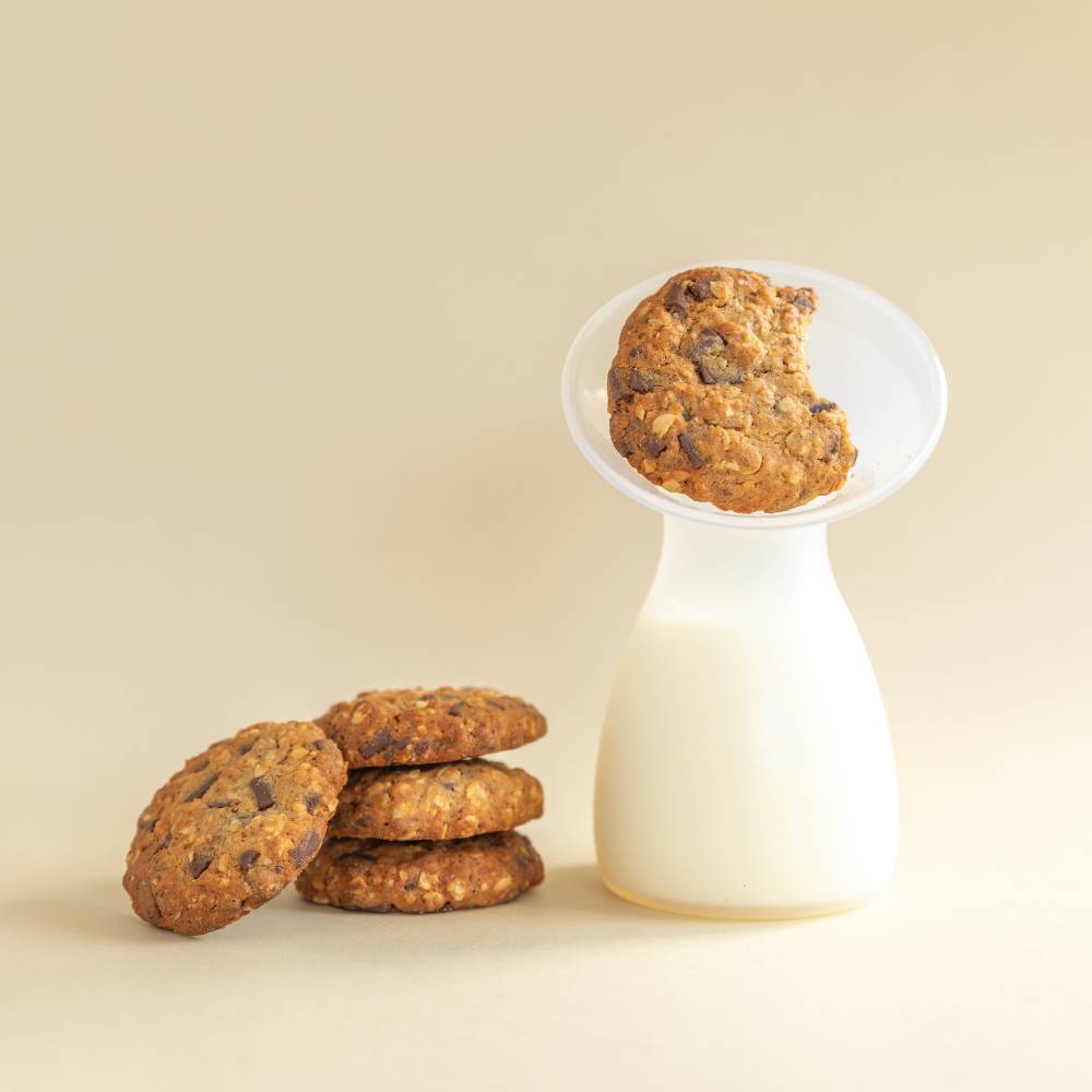 The Milk Collective Dark Choc Chip Lactation Biscuits