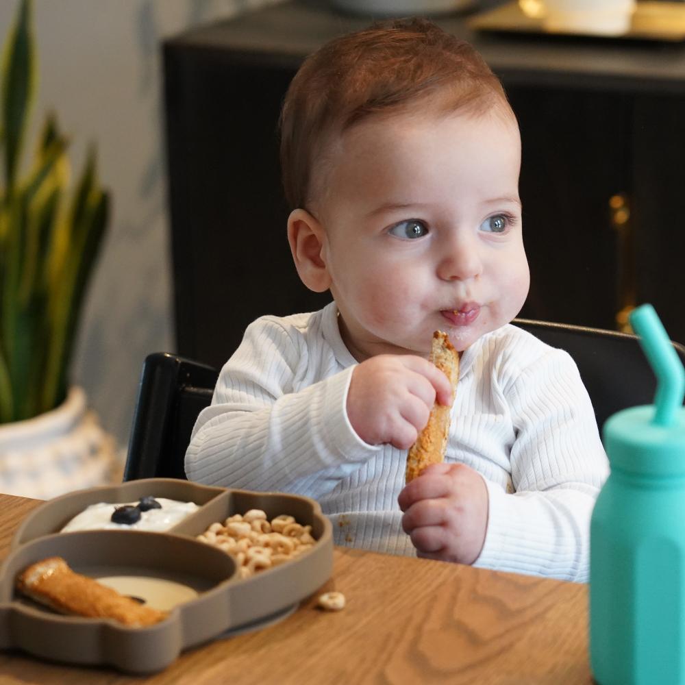 Melii Silicone Divided Suction Plate