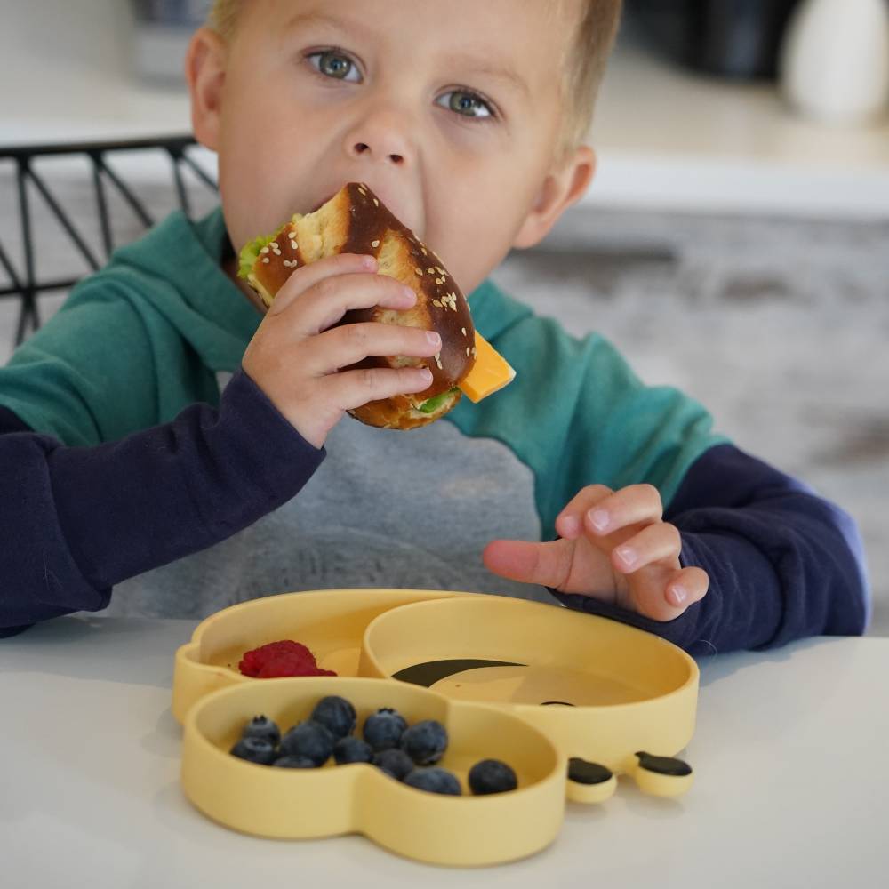 Melii Silicone Divided Suction Plate