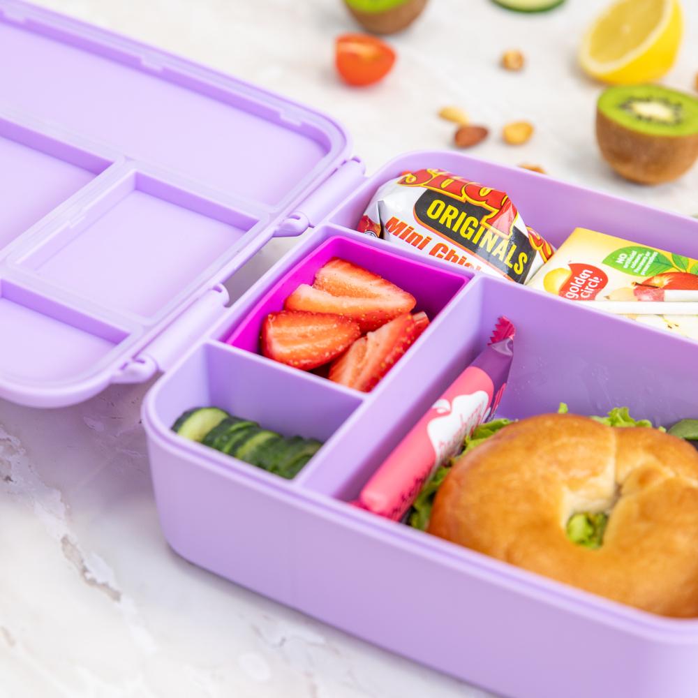 MontiiCo Feast Lunch Box