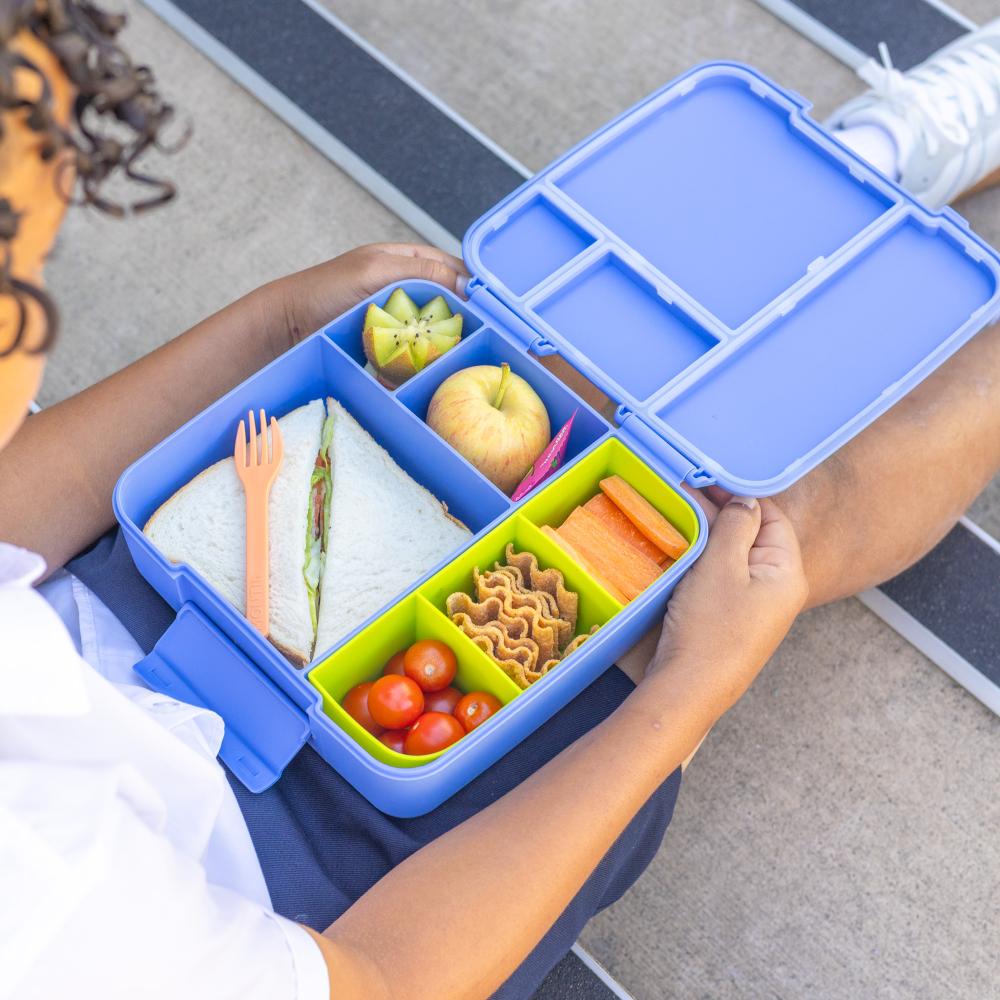 MontiiCo Feast Lunch Box Tray