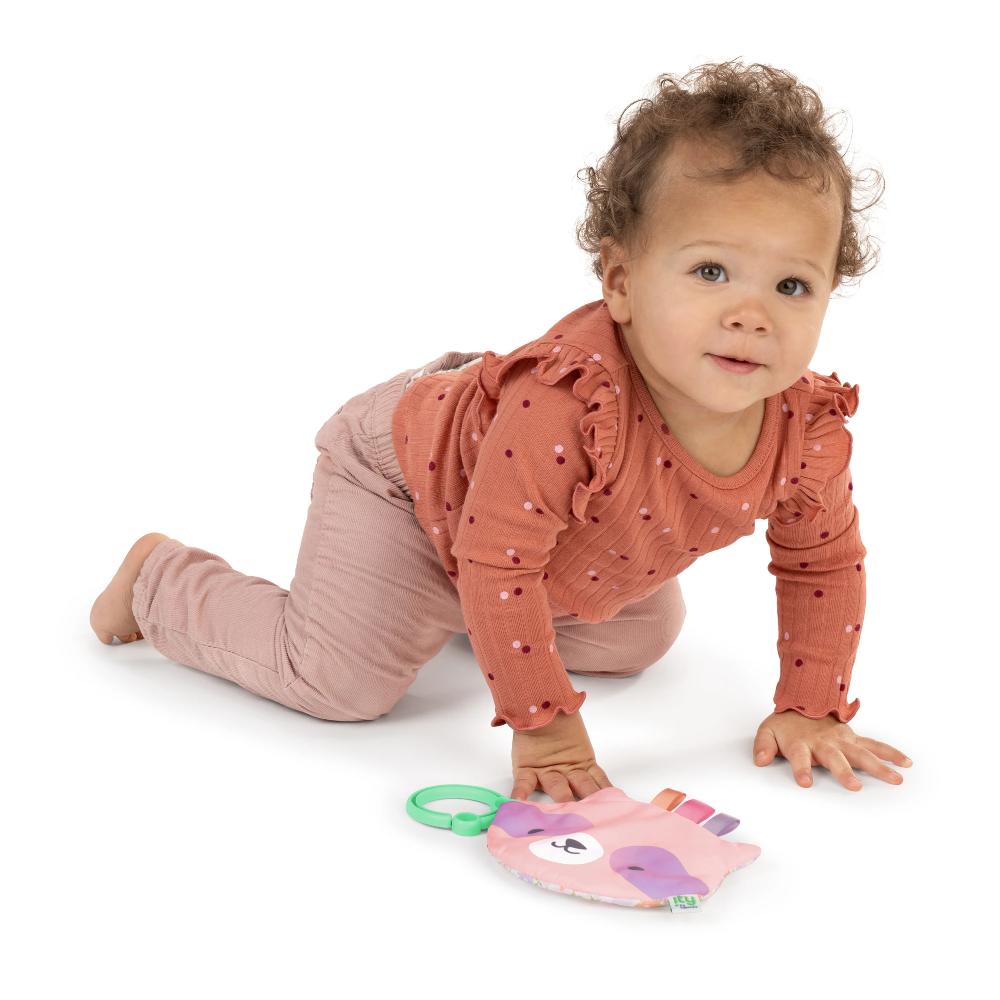 ity by Ingenuity Crinklet Toy