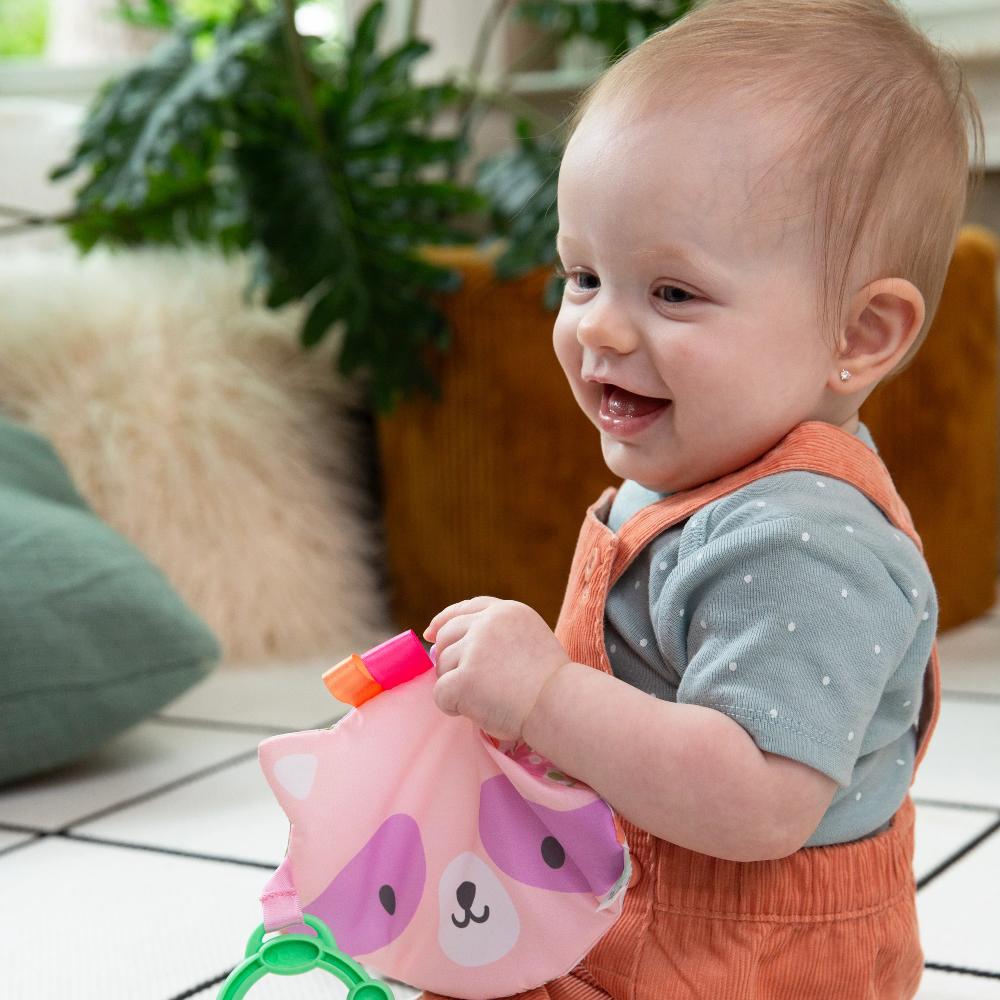 ity by Ingenuity Crinklet Toy