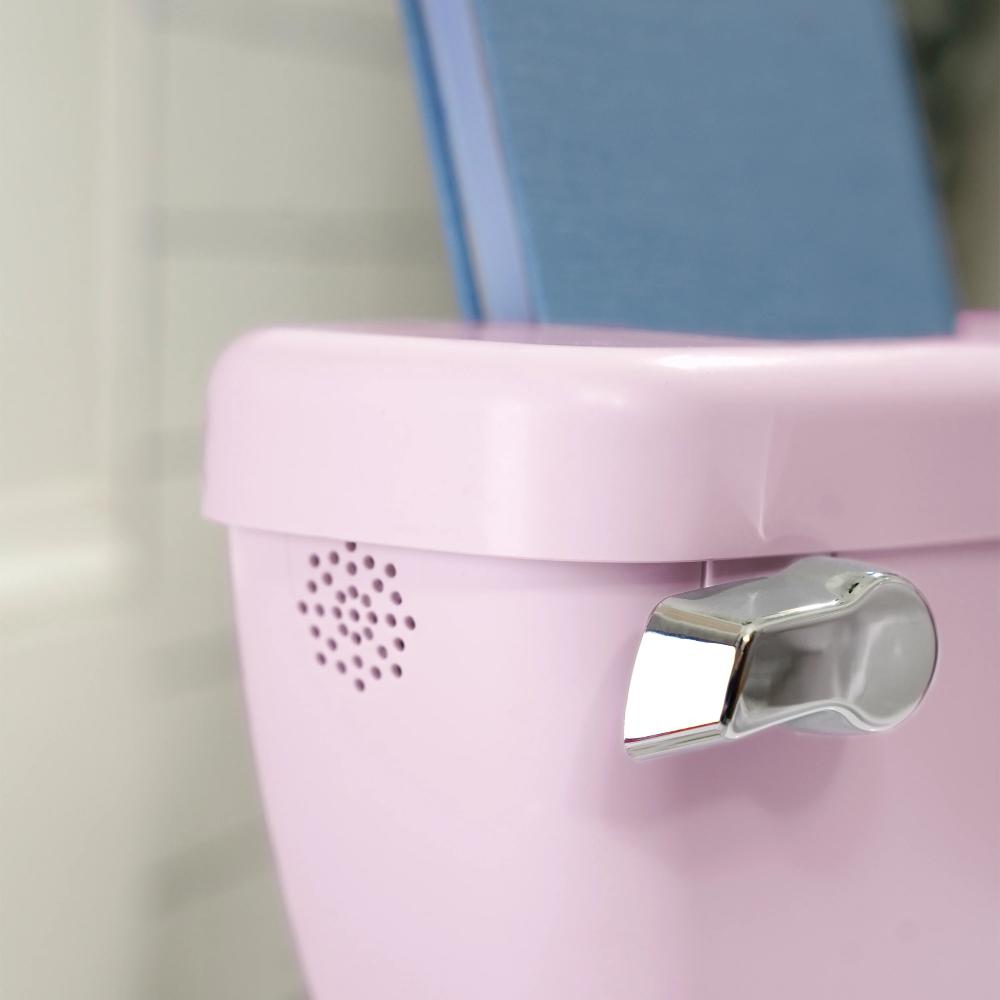 Summer by Ingenuity My Size Potty Pro