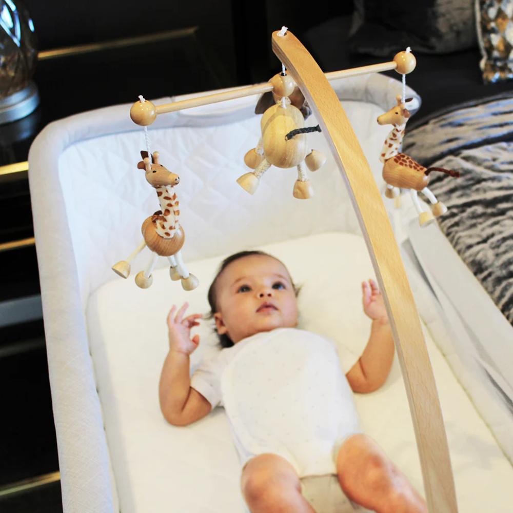 Babyhood Co-Sleep Cradle